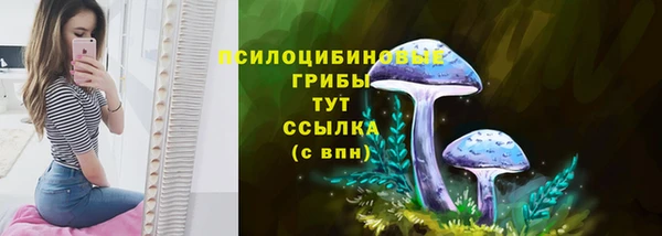 круглые Алексин