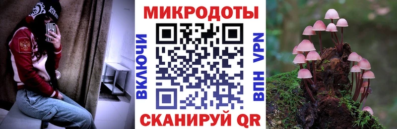 Псилоцибиновые грибы ЛСД  где купить наркотик  Топки 